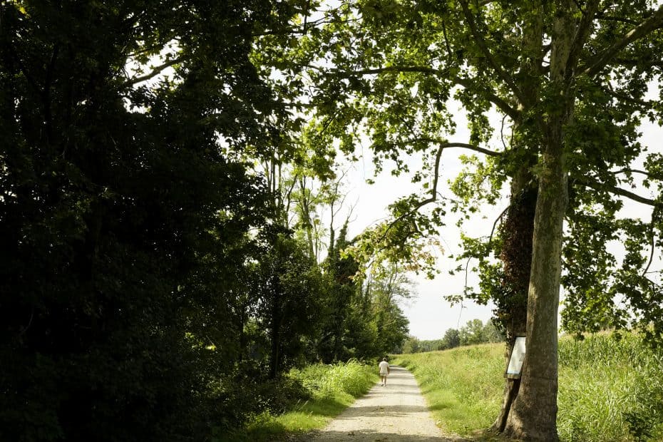 strada del duca