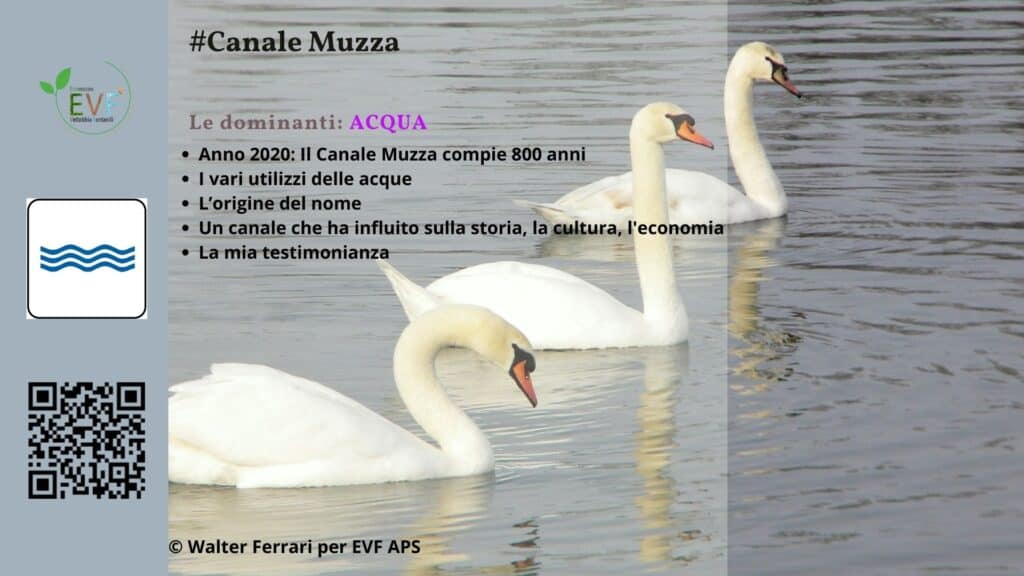 Canale Muzza