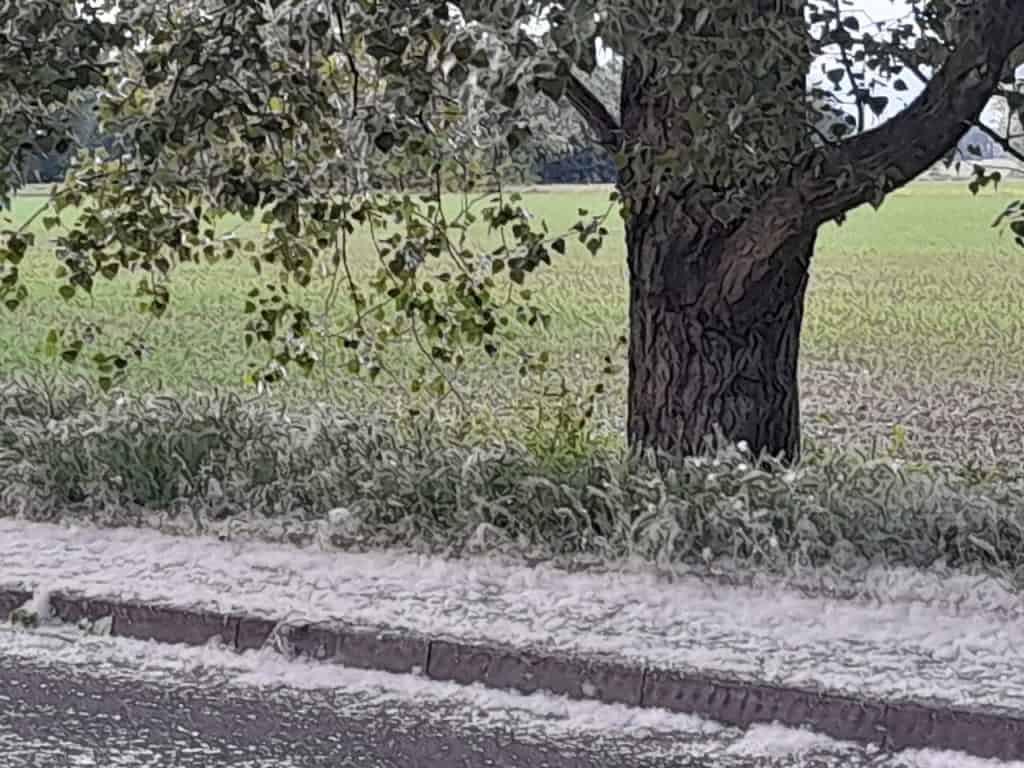 Neve di Maggio - Peschiera Borromeo