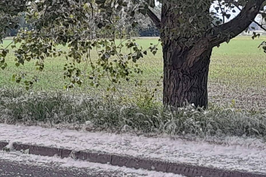 Neve di Maggio - Peschiera Borromeo
