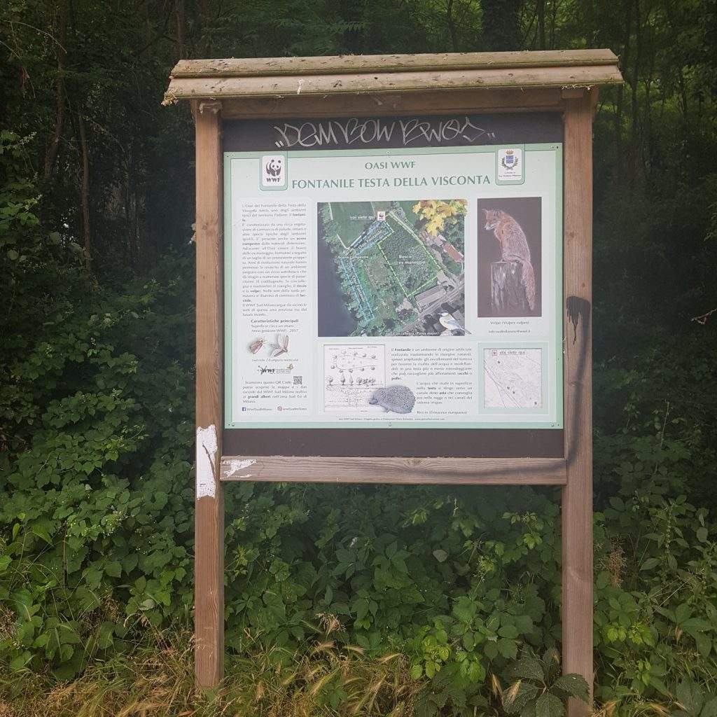 Un Fontanile nascosto nel bosco