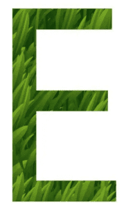 la lettera E del logo di Ecomuseo della Vettabbia e dei Fontanili