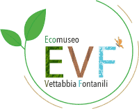 Logo EVF