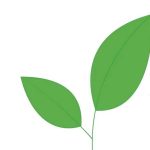 Le due foglie nel logo di Ecomuseo della Vettabbia e dei Fontanili