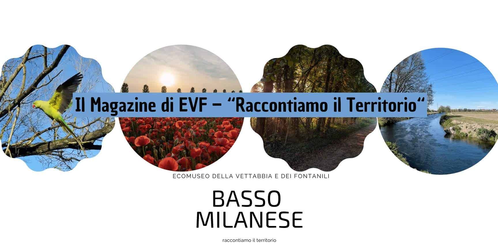 Il Magazine di EVF – “Raccontiamo il Territorio“