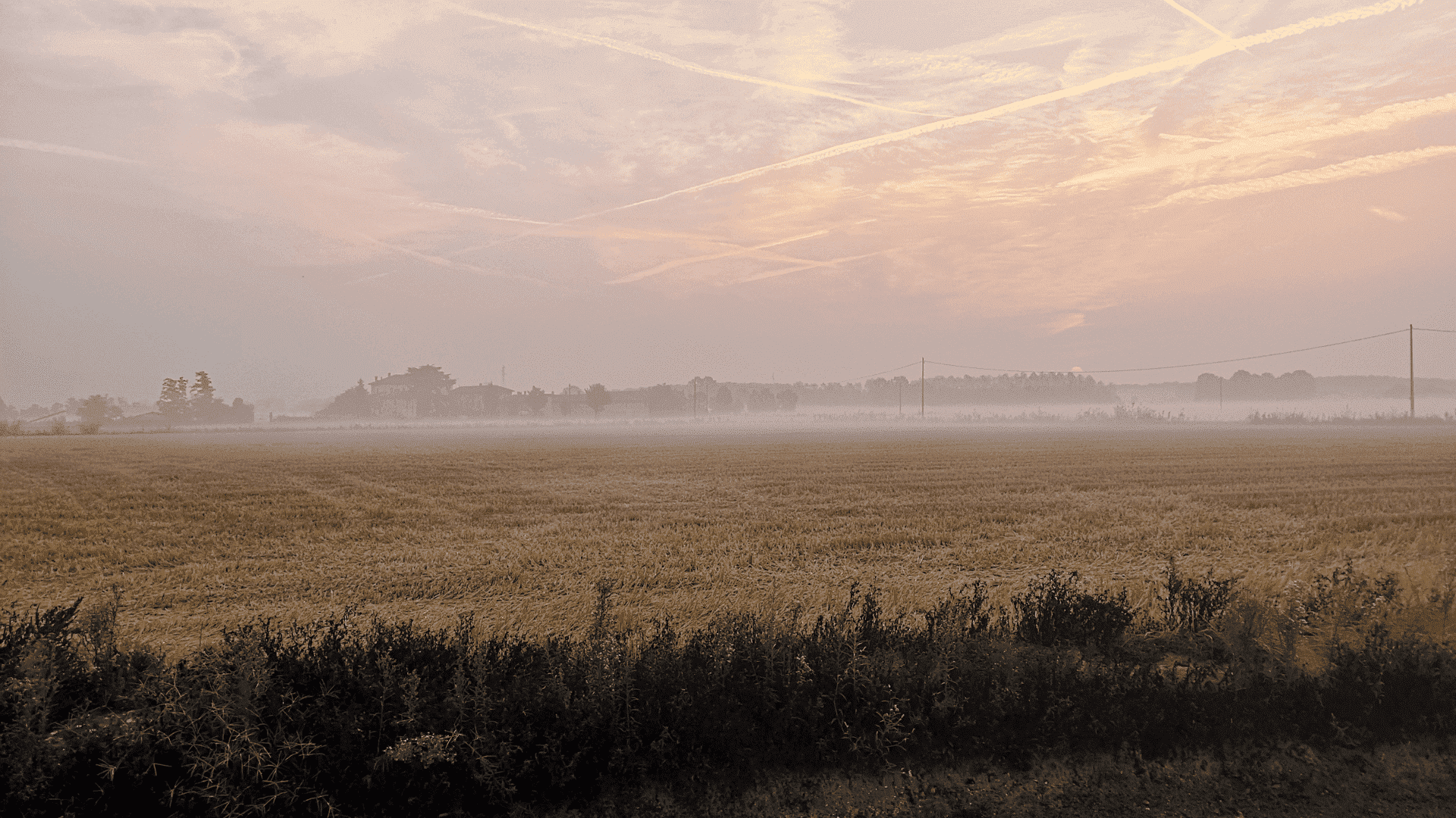 CAMPO DI RISO A CASCINA CANTALUPO - San Giuliano Milanese, Basso Milanese, Sud Milano