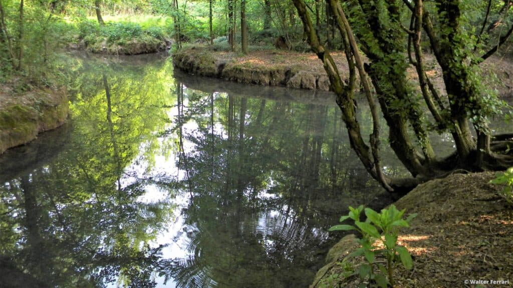 Fontanile Rile