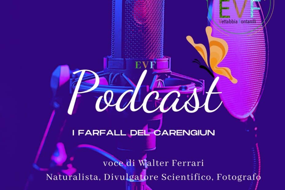 Podcast: I Farfall del Carengiun - Voce di Walter Ferrari