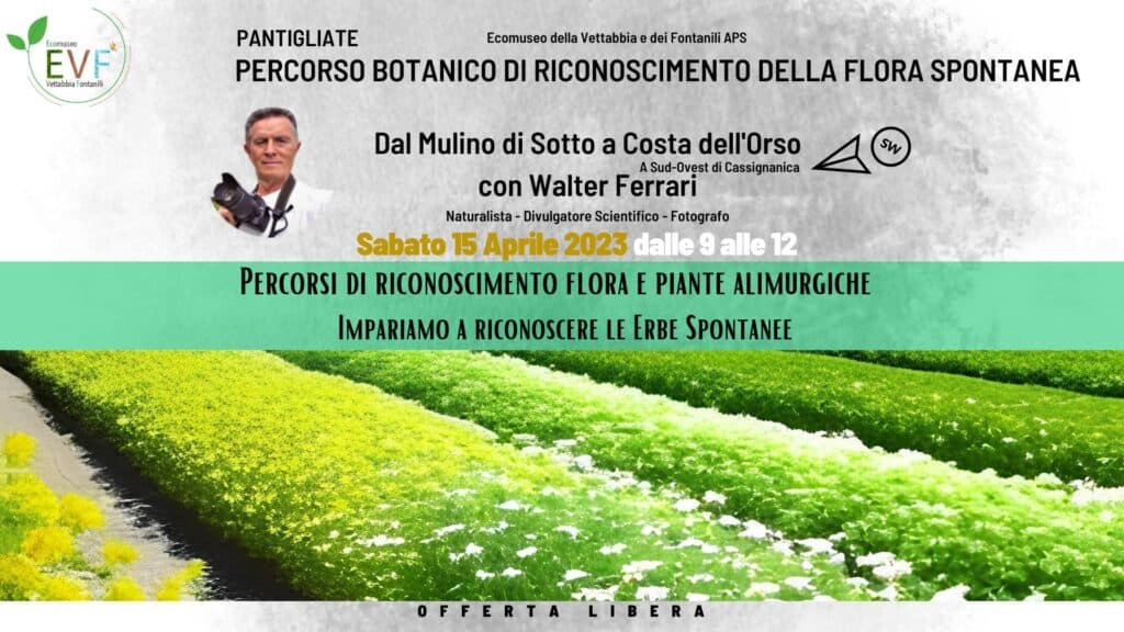 Dal Mulino di Sotto a Costa dell'Orso. Percorso botanico di riconoscimento della flora spontanea, con Walter Ferrari Naturalista - Divulgatore Scientifico - Fotografo