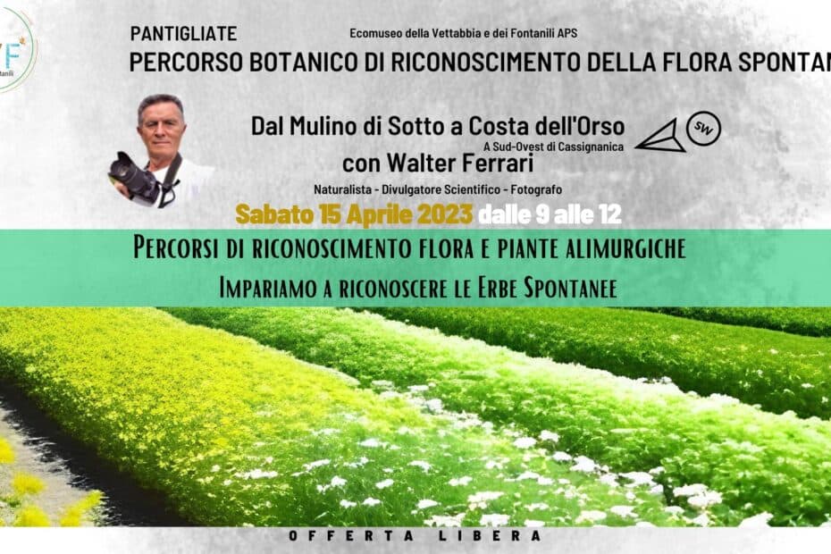 Dal Mulino di Sotto a Costa dell'Orso. Percorso botanico di riconoscimento della flora spontanea, con Walter Ferrari Naturalista - Divulgatore Scientifico - Fotografo