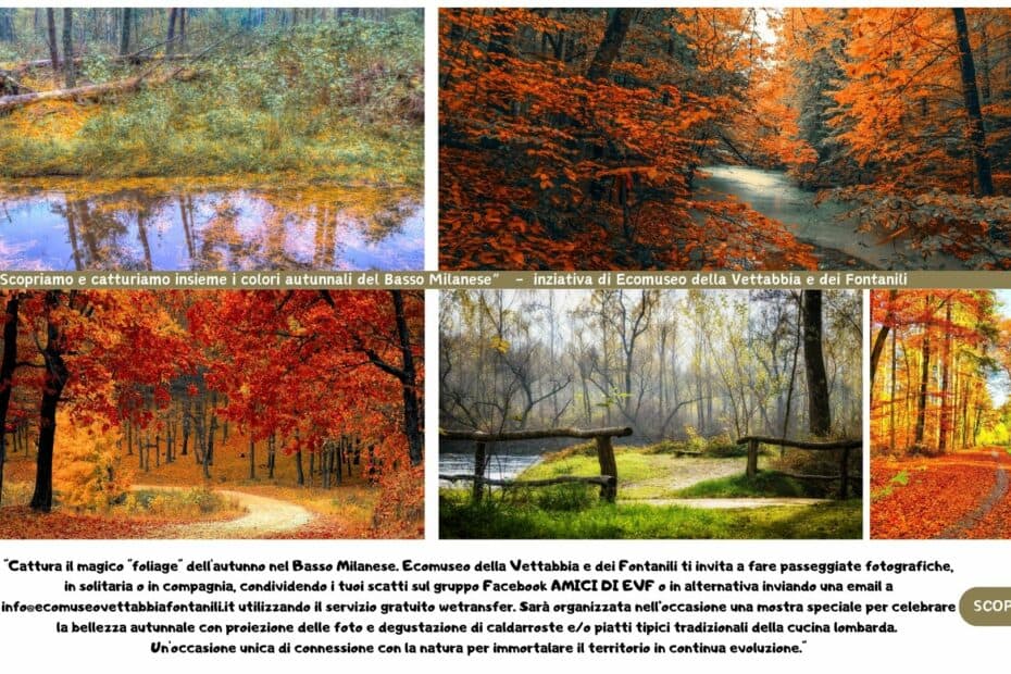FOLIAGE - VIVI L'EPERIENZA SCATTA UNA FOTO, CATTURA IL TERRITORIO Per rendere l'esperienza ancora più memorabile, proponiamo di catturare la bellezza autunnale attraverso lo scatto di fotografie. Tutte le foto scattate durante queste avventure vi invitiamo a caricarle nel gruppo Facebook “AMICI DI EVF “ - https://www.facebook.com/groups/amicidievf, o in alternativa alla nostra casella di posta info@ecomuseovettabbiafontanili.it utilizzando il servizio gratuito wetransfer.