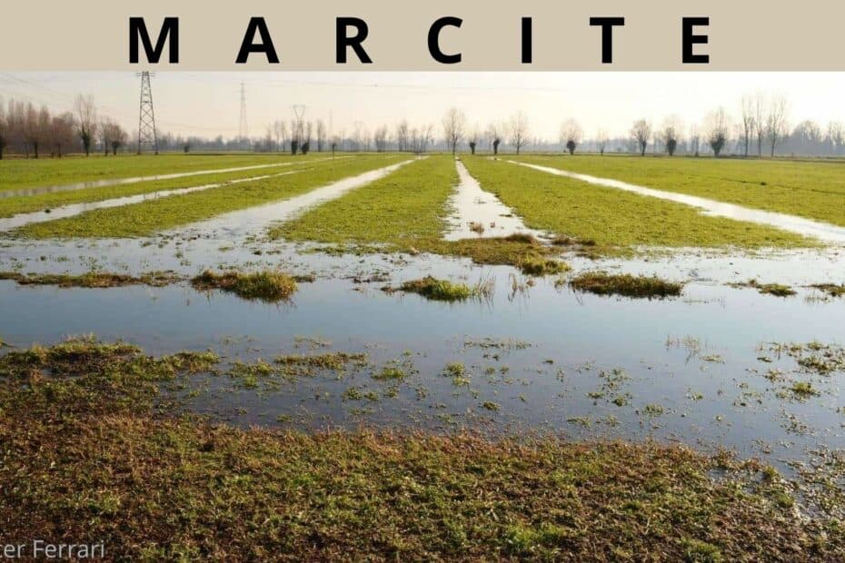 Marcìte, Storia e Tecnica