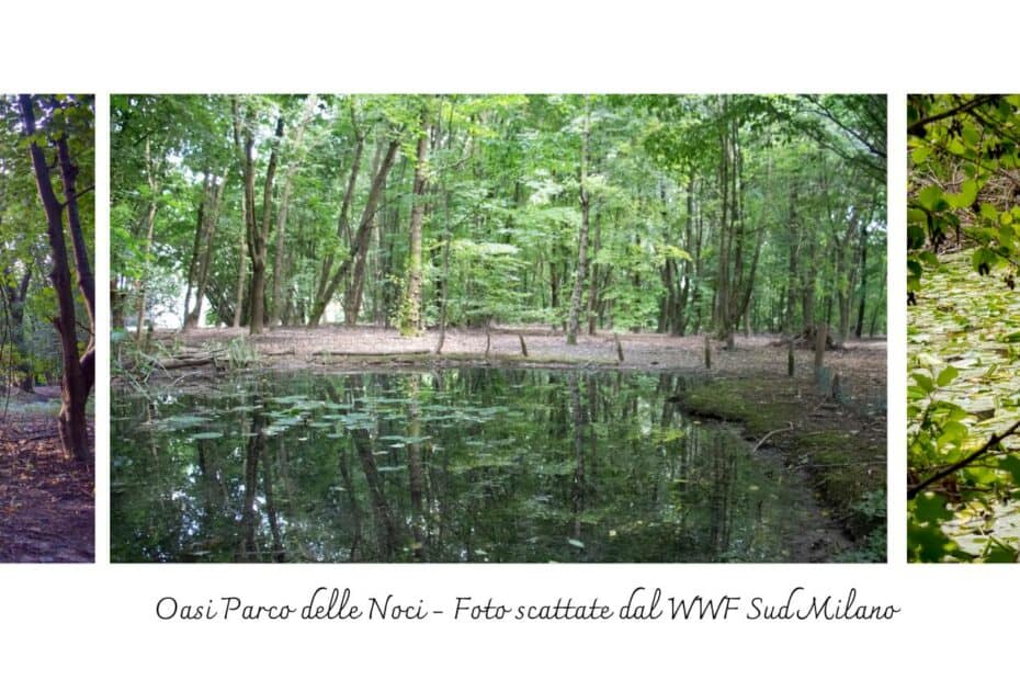 Oasi Parco delle Noci - Melegnano