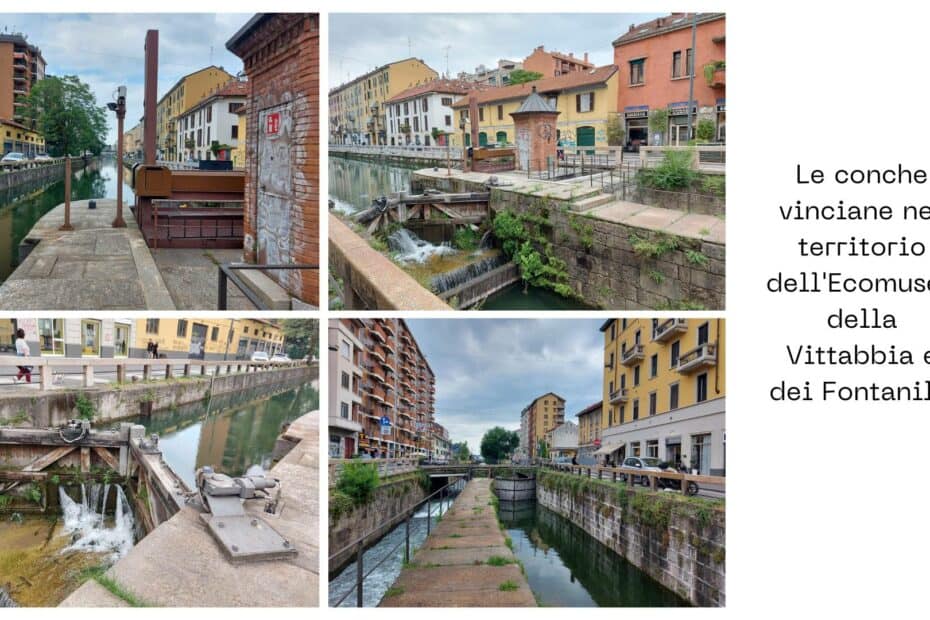 LE CONCHE VINCIANE NEL TERRITORIO DI ECOMUSEO DELLA VETTABBIA E DEI FONTANILI