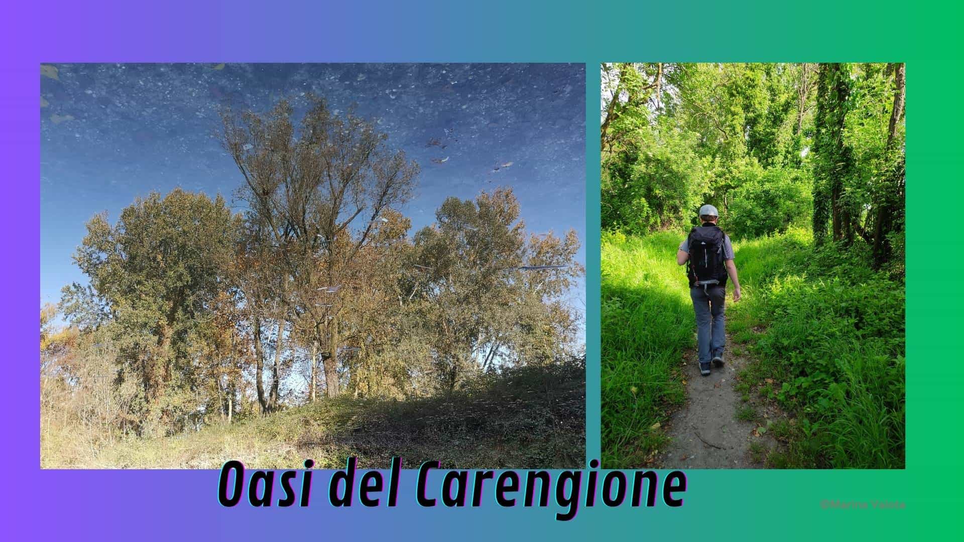 Oasi del Carengione